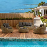 SFTZ257404 Natural Rattan Spherical Outdoor Lounge Set with Dark Grey Cushions & Rattan Round Coffee Table – Stylish Patio Furniture